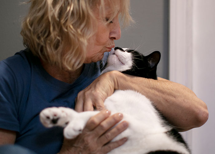 A woman cuddles and kisses a black and white cat, highlighting the cat distribution system.