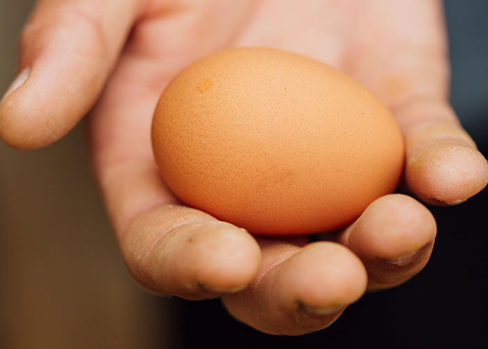 Hand holding an egg, possibly one of the strangest things hotel housekeepers have found in a room.
