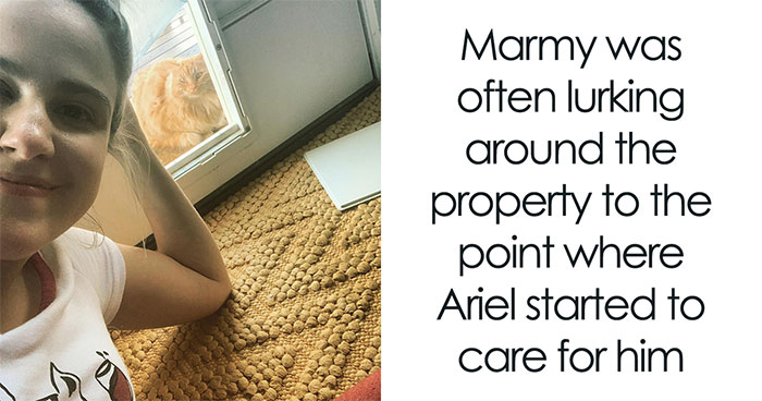 Six Years Of Slow Trust: How A Stray Cat Gradually Adopted A Family