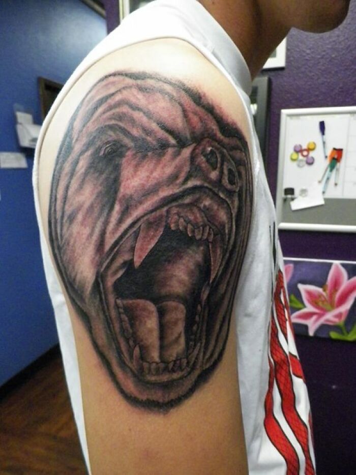 Tattoo of a roaring bear on someone's upper arm, inside a tattoo studio.
