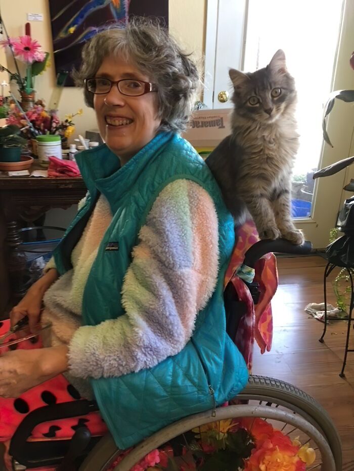 My Sidekick And I; The Grey Tabby Twins