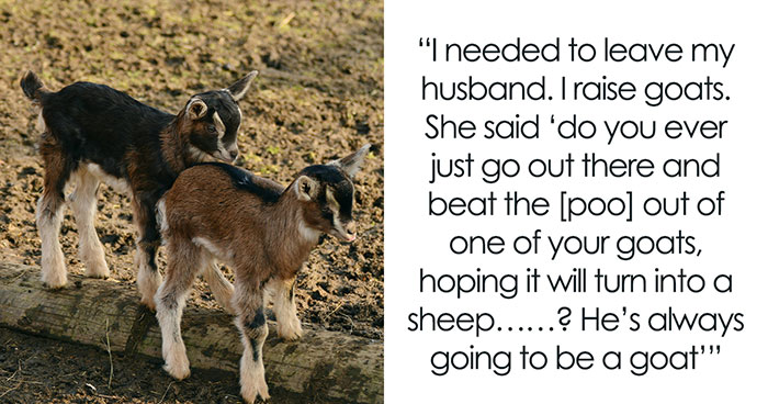 “What Did Your Therapist Tell You That Flipped The Switch In Your Brain For The Better?” (35 Answers)