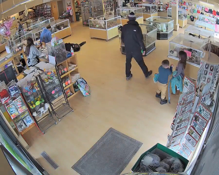 Pet store interior with customers; main focus on puppies amidst a disturbing robbery. Pet store interior with customers; main focus on puppies amidst a disturbing robbery.