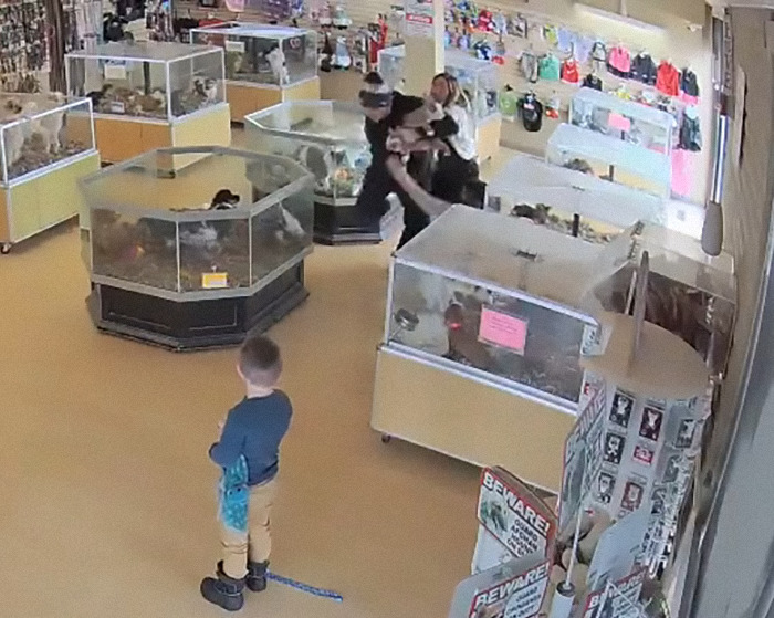 Thieves in pet store faking seizure while stealing puppies, disturbing robbery caught on security camera. Thieves in pet store faking seizure while stealing puppies, disturbing robbery caught on security camera.
