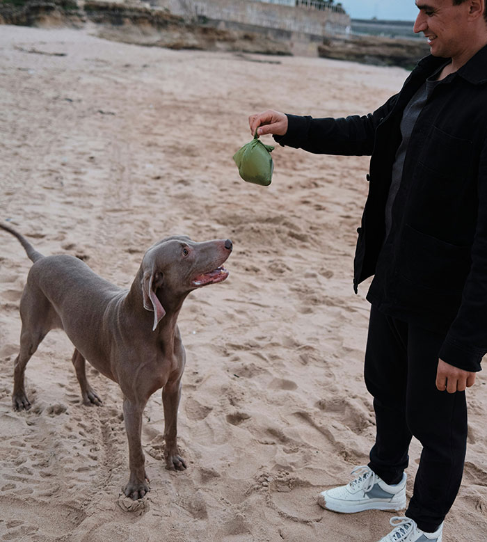 Man holding a green bag on a beach while a dog looks up, connecting with frugality theme.