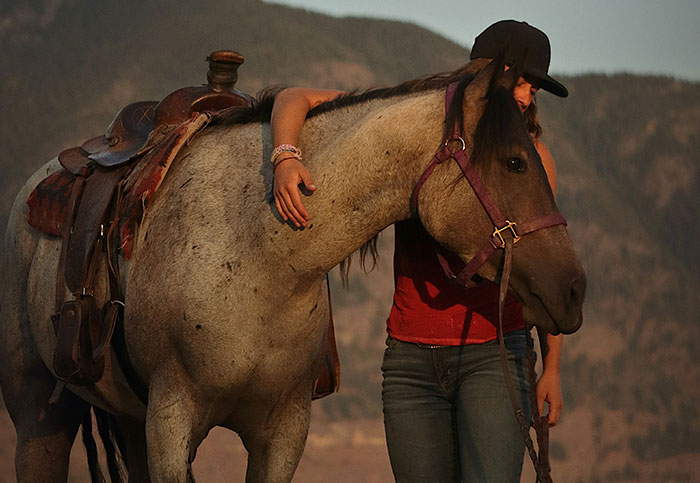 Person hugging a horse in a mountainous region, reflecting a serene moment about their homeland experience.