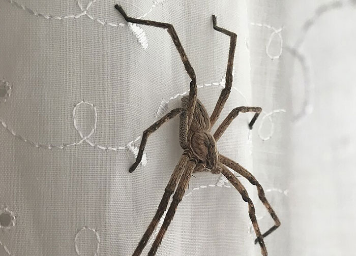 30 Times People Asked Something So Dumb About Someone’s Country, It Hurt