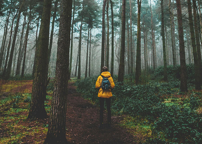 Person walking in forest, wearing a yellow jacket and backpack, embodying tips for getting 10K steps a day.