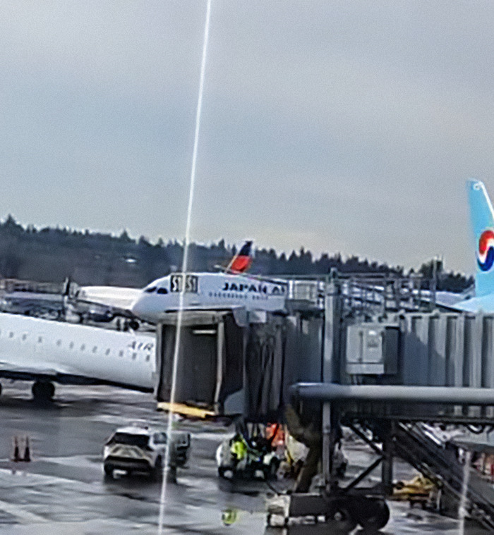 Seattle airport scene with two planes near the jet bridge after collision, referencing 2025 trend concerns. Seattle airport scene with two planes near the jet bridge after collision, referencing 2025 trend concerns.