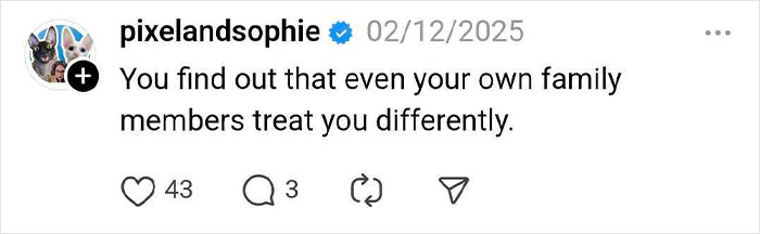 Screenshot of a social media post by pixelandsophie discussing family treatment after weight loss.