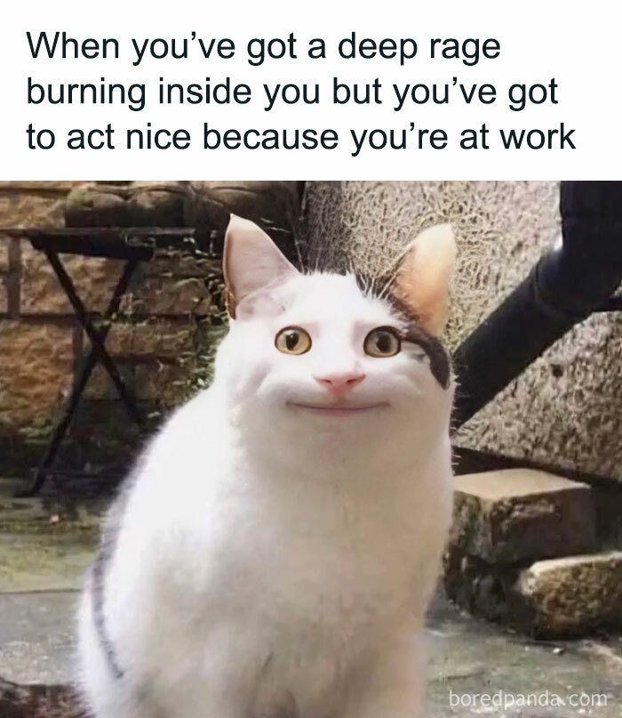 A cat with a human-like smile, captioned about hiding anger at work, reflecting issues of capitalism.