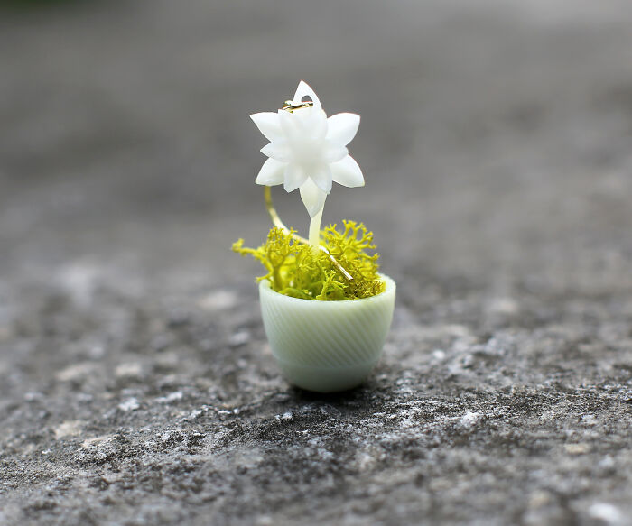 We Make Wearable Plant Holders, Here Are The Earrings (9 Pics)