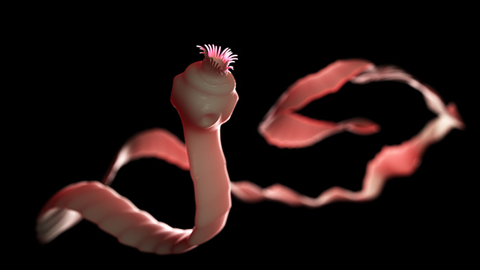 Realistic depiction of a tapeworm on a dark background.