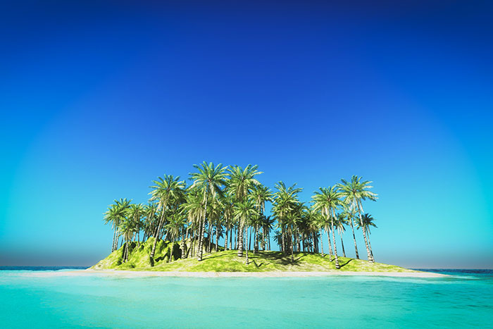 Private island with palm trees on turquoise sea, representing luxury purchases of the super rich.