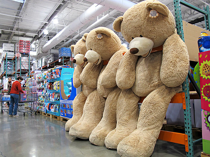 30 Things Crazy-Rich People Purchase That No One Else Would Even Think They Actually Need