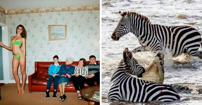 40 Images So Weird They Need Jesus, As Shared By The “Weird Images Worth Seeing” Online Group