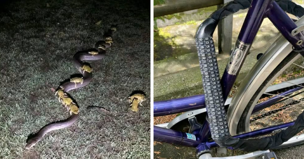 45 Times People Were So Stunned By What They Were Seeing, They Had To Take A Photo