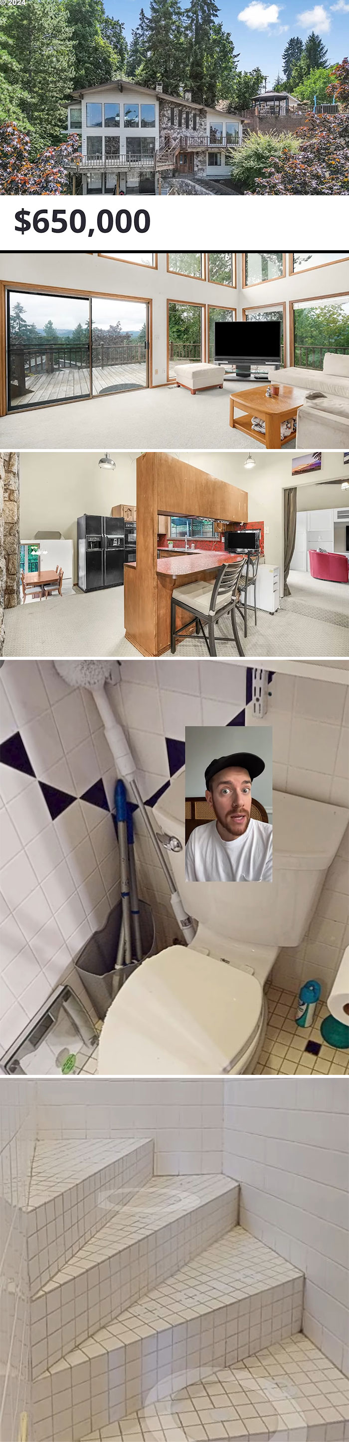 Unusual Zillow listing with a wooded exterior, modern interior, quirky bathroom design, and unique stair layout.