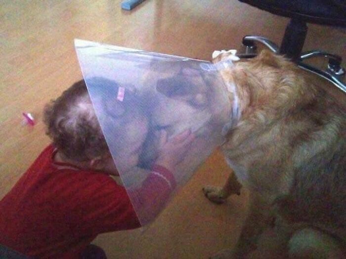 Child cuddling a dog with a cone, showing wholesome animal affection.