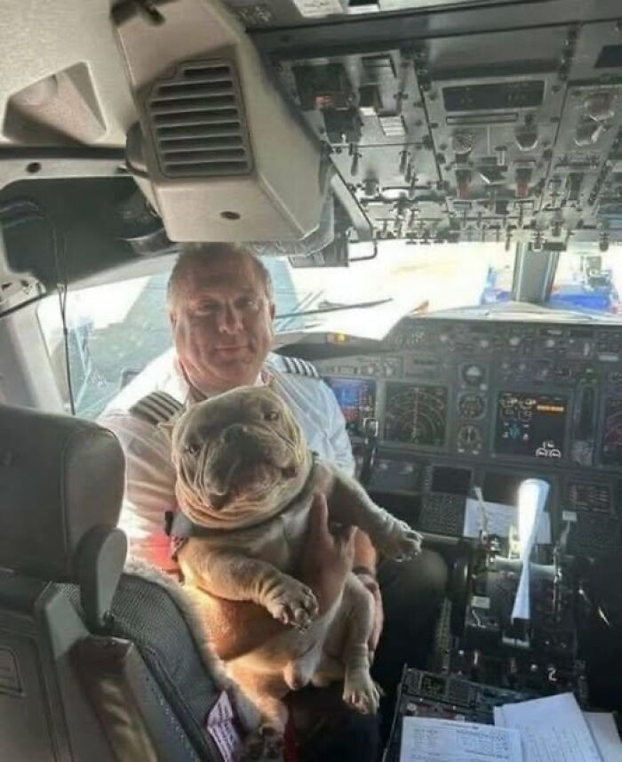 Pilot holding a bulldog in the cockpit, highlighting a wholesome animal moment.