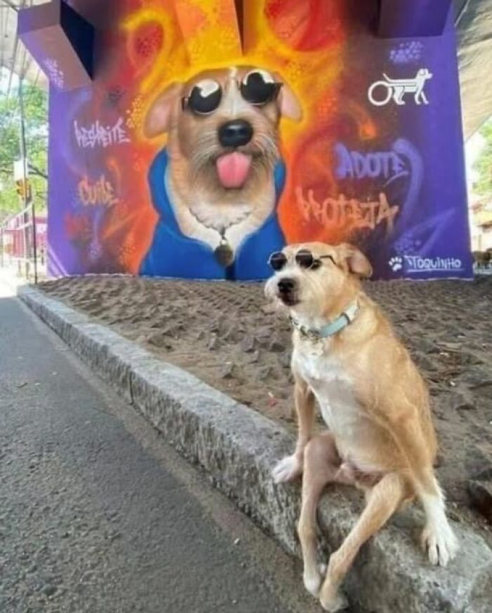 Dog wearing sunglasses sitting on a sidewalk with a mural of itself in the background, capturing a wholesome moment.