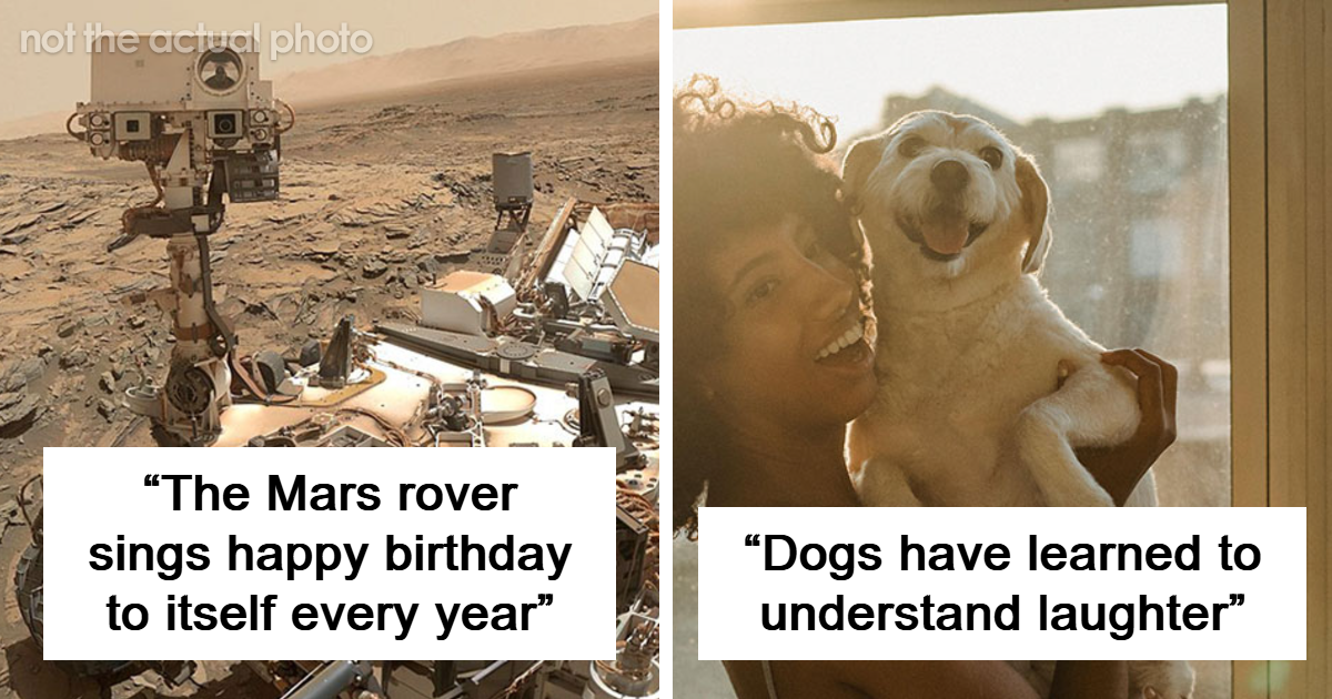 33 Uplifting Facts That Are Actually Really Nice To Think About