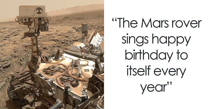 “What Is The Most Wholesome Fact You Know?” (35 Answers)