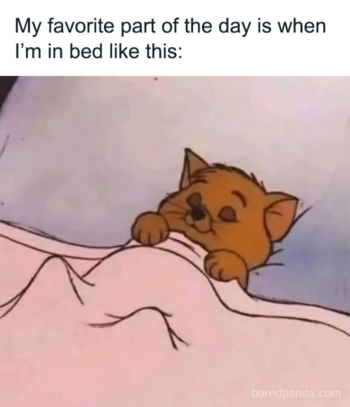 Cute kitten snuggled under blankets, creating a sense of positivity and comfort.