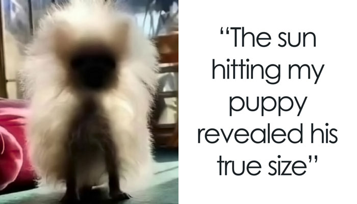 50 Uplifting Memes And Posts For That Daily Dose Of Positivity (New Pics)