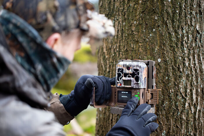 A person setting up a wildlife camera on a tree, a unique gift idea for someone who has everything.