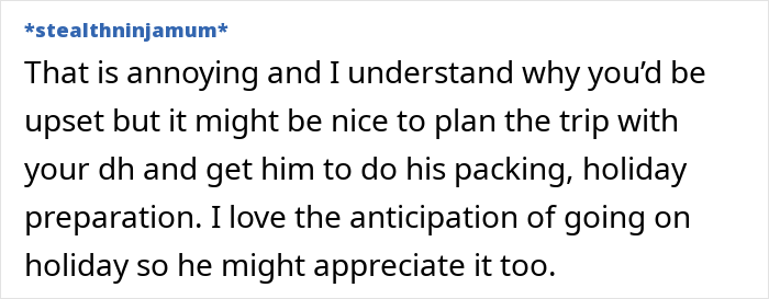 Text comment discussing a surprise birthday trip and planning with "dh" for holiday preparation.