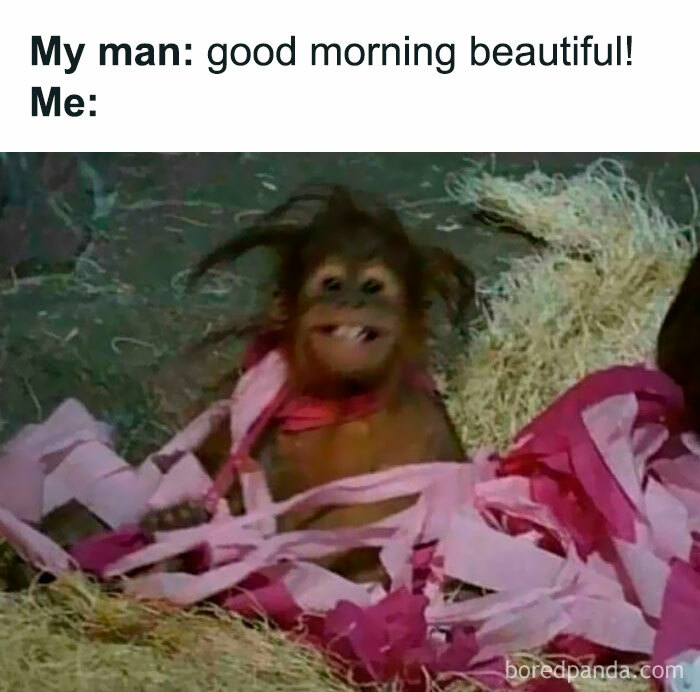 Funny meme from IG account “Women Behaving Badly” showing a happy orangutan wrapped in pink paper as a humorous reaction.