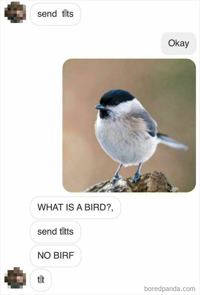 Text exchange about "t**s," with a bird photo sent in response to a creepy DM.