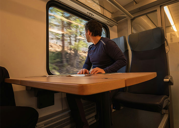 Person on a train looking out the window, reflecting on a toxic workplace experience.
