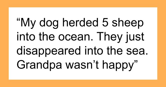 People With Impossibly Dumb Pets Share Their Stories, Here Are 45 Of The Most Unhinged Ones
