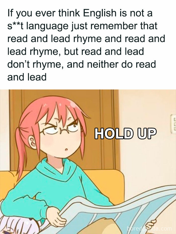 Confused cartoon character reacting to a confusing English language meme with "Hold Up" text.
