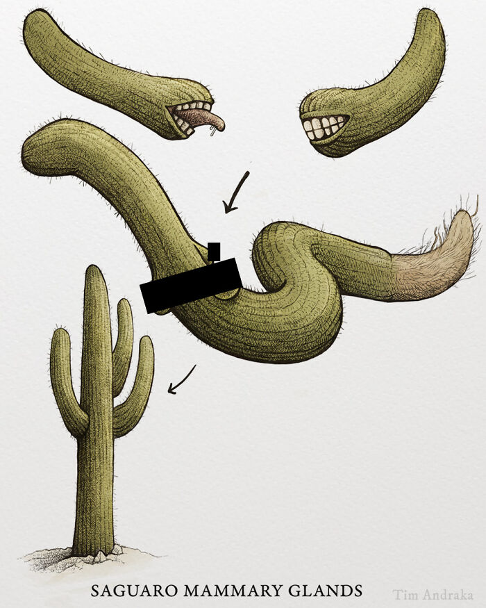 Surreal animals illustration in a scientific encyclopedia style, featuring a humorous cactus creature with expressive faces.