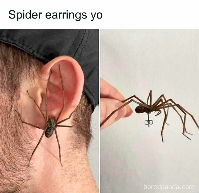 Spider-shaped earrings worn on an ear, with realistic detailing, creating an unsettling visual effect.