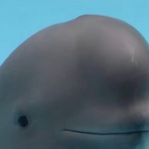 kristinejohnson_1 avatar