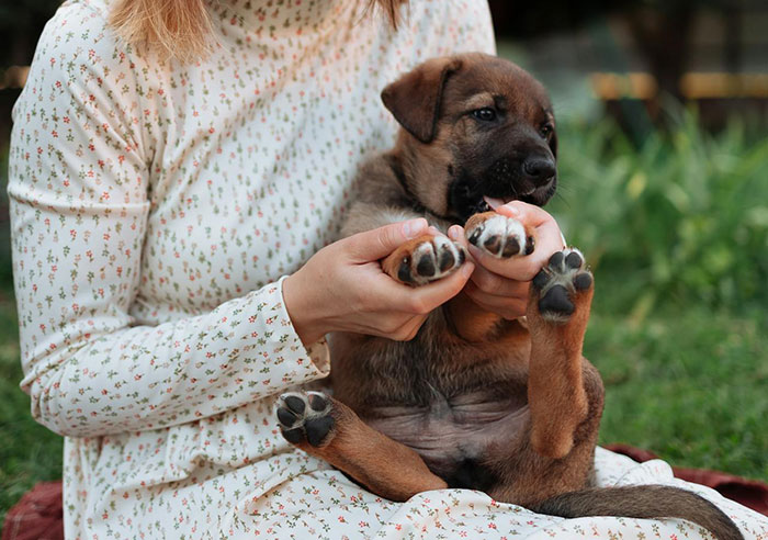 “How Is That Fair?”: Woman Left Torn On Whether To Intervene In Man’s “Test” On Fiancée “How Is That Fair?”: Woman Left Torn On Whether To Intervene In Man’s “Test” On Fiancée