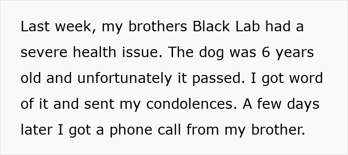 Text about brother's dog health issue and passing; context for vacation reimbursement discussion.