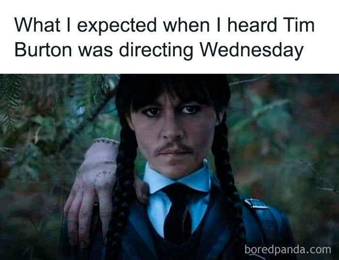 A funny meme showing a character resembling Wednesday Addams with a humorous twist related to Tim Burton.