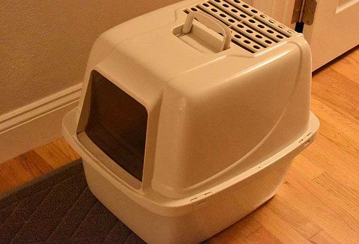 Litter box used as a creative place to hide things at home.