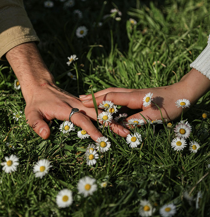 Hands touching grass and daisies, depicting app concept linked to social media usage.