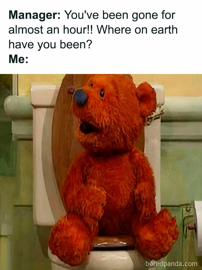 Orange teddy bear on a toilet with a humorous caption, making your day better with a funny meme.
