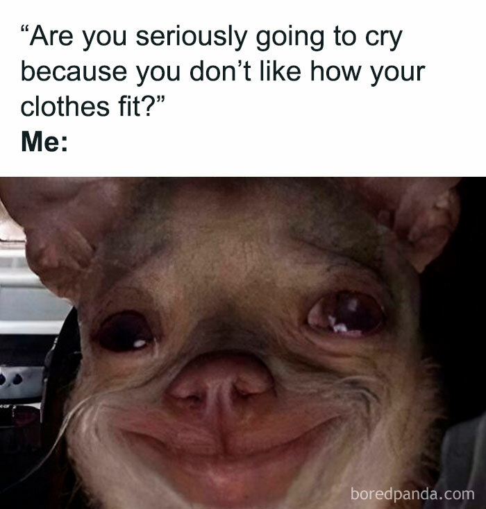 Funny meme of an animal smiling with text about feeling emotional over clothes fit issues.