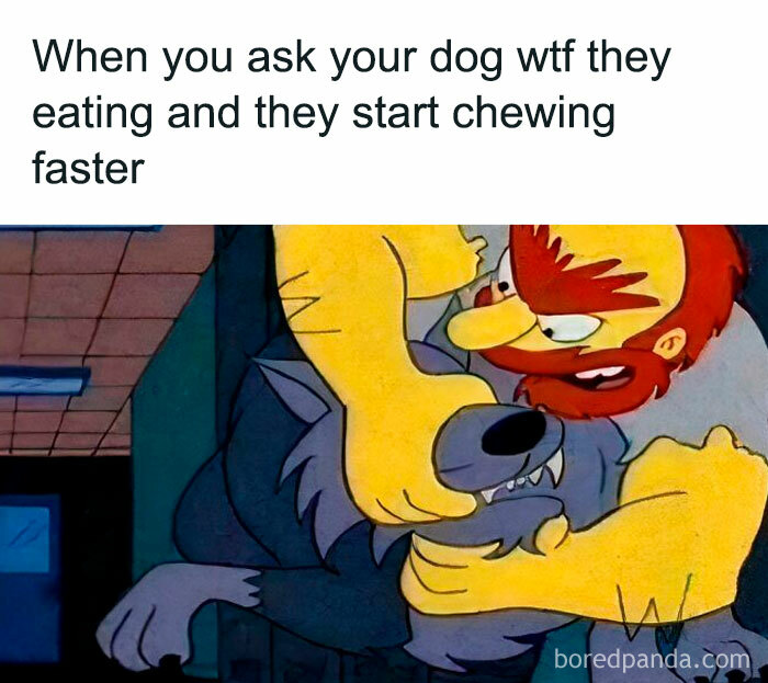 Cartoon character holds a chewing wolf with a funny caption, making your day better with humor.