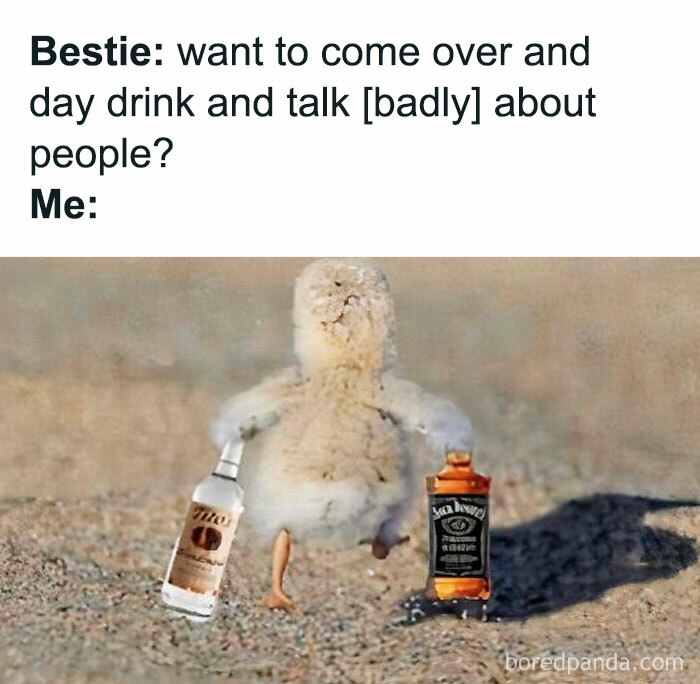 Funny meme of a bird holding two liquor bottles, resembling a party invite scenario to make your day better.