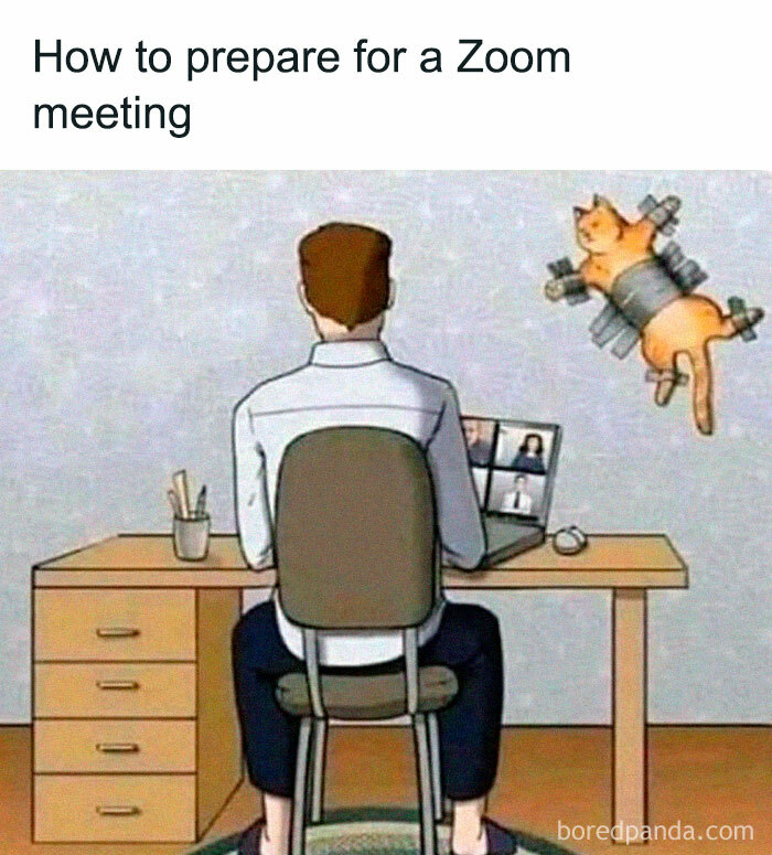 Man at a desk on a Zoom meeting with a cat taped to the wall; a humorous meme to make your day better.