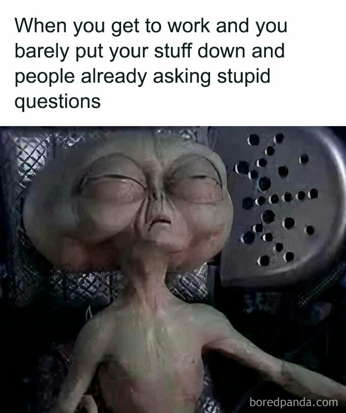 Alien meme highlighting the feeling of being overwhelmed by silly questions at work.
